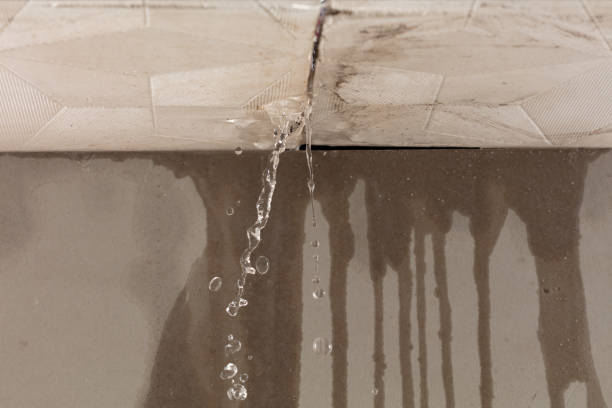 Professional Burst Pipe Cleanup technician working in Lakeshore, LA